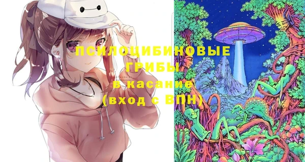 MDMA Гусь-Хрустальный