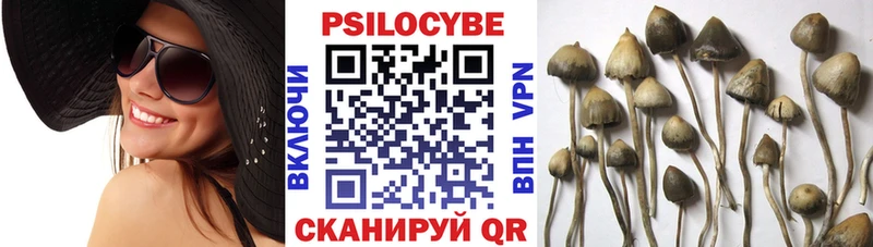 ссылка на мегу ТОР  Волгодонск  Галлюциногенные грибы Cubensis 